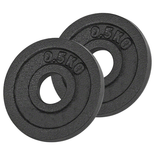 Cast Iron Weight Plates - FitArc